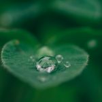 une perle d'eau sur une feuille verte pour évoquer la green beauty ou cosmétique verte